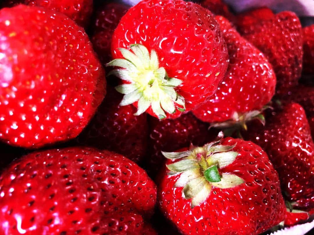 飯沼誠司さんのインスタグラム写真 - (飯沼誠司Instagram)「苺 美味っ(^^) いただきました。 #strawberry」4月13日 20時33分 - seiji_iinuma