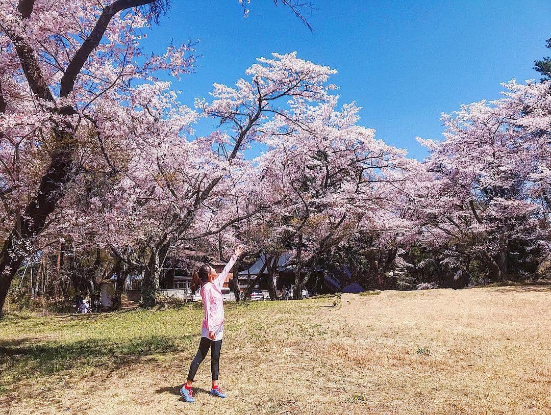 若尾綾香さんのインスタグラム写真 - (若尾綾香Instagram)「☆ 山梨県韮崎市『武田の里ウォーク』イベントでした。 内藤市長とご一緒に歩かせて頂きました✨ 先日雪が降った山梨ですが、 今日は晴天に恵まれ優しい風が吹くと ヒラヒラと桜舞い散る光景がとても幻想的でした🌸 最高な日に1000人近い参加者の皆様と 一緒に歩きお話出来てとても楽しかったです😊 ありがとうございました！ そしてお疲れ様でした٭¨̮ . #山梨県#韮崎市#武田の里ウォーク#桜#新府城#絶景#幻想的な桜」4月13日 20時39分 - ayaka_wakao