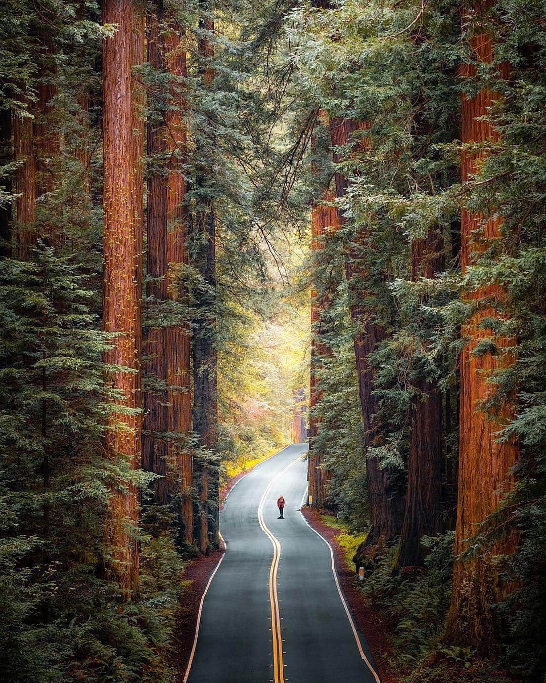 Awesome Wonderful Natureさんのインスタグラム写真 - (Awesome Wonderful NatureInstagram)「California Photos by @ryanresatka  #fantastic_earth」4月13日 20時48分 - fantastic_earth