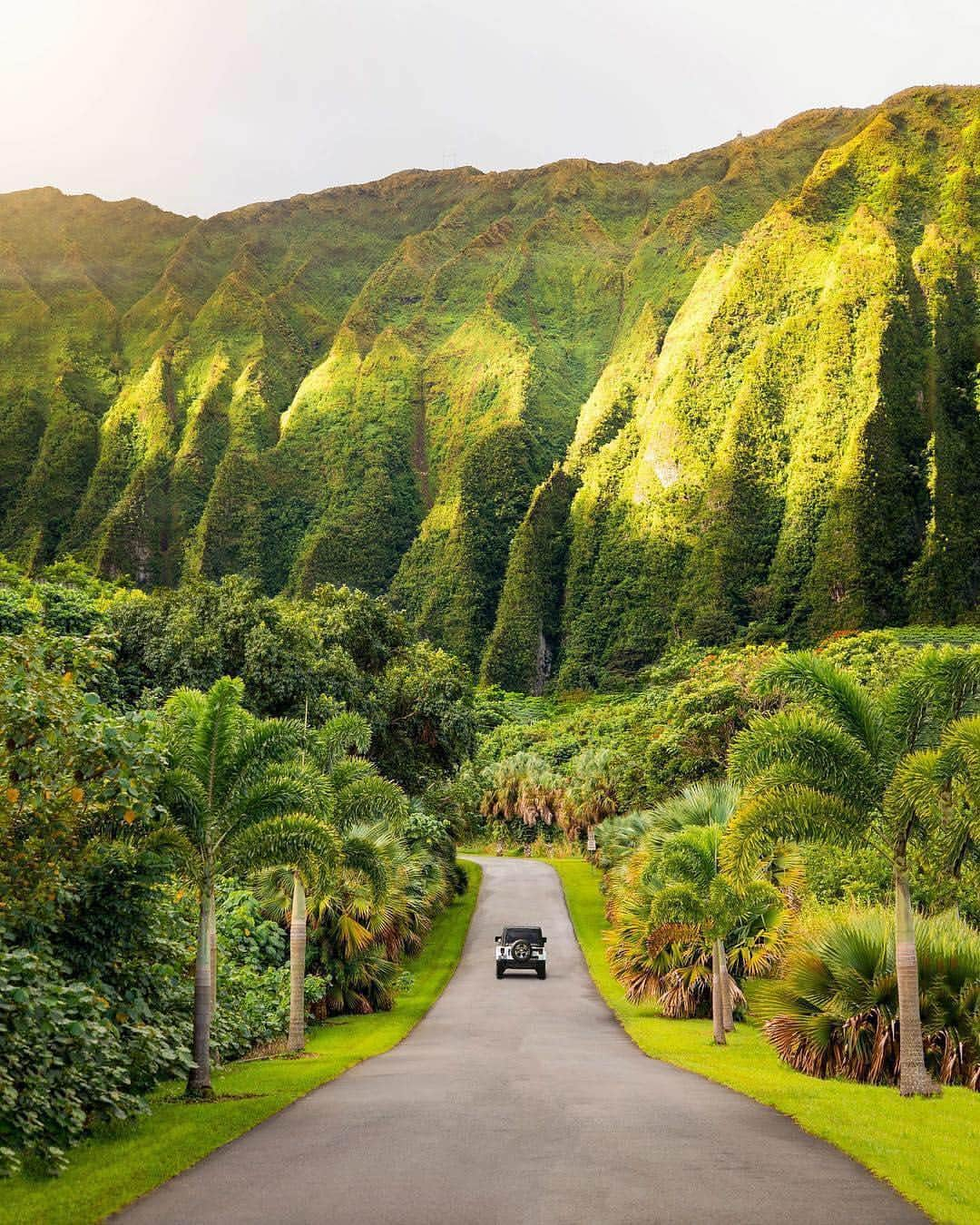 BEAUTIFUL DESTINATIONSさんのインスタグラム写真 - (BEAUTIFUL DESTINATIONSInstagram)「Driving into the weekend like ✌️(📷: @monifhabib 📍: #Hawaii)」4月13日 21時01分 - beautifuldestinations