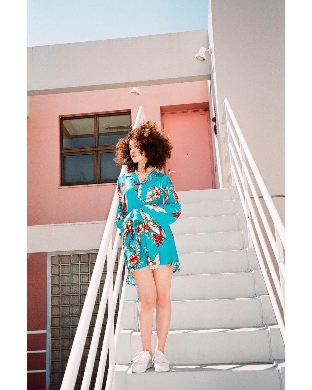 夏目志乃さんのインスタグラム写真 - (夏目志乃Instagram)「なびくアフロ ， 前回のが、すごく好評で嬉しい！！☺️ ，」4月13日 21時24分 - shinonatsume