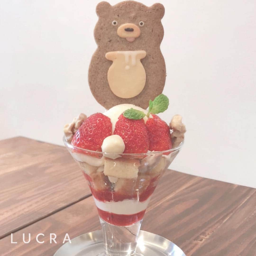 LUCRA（ルクラ）のグルメインスタ