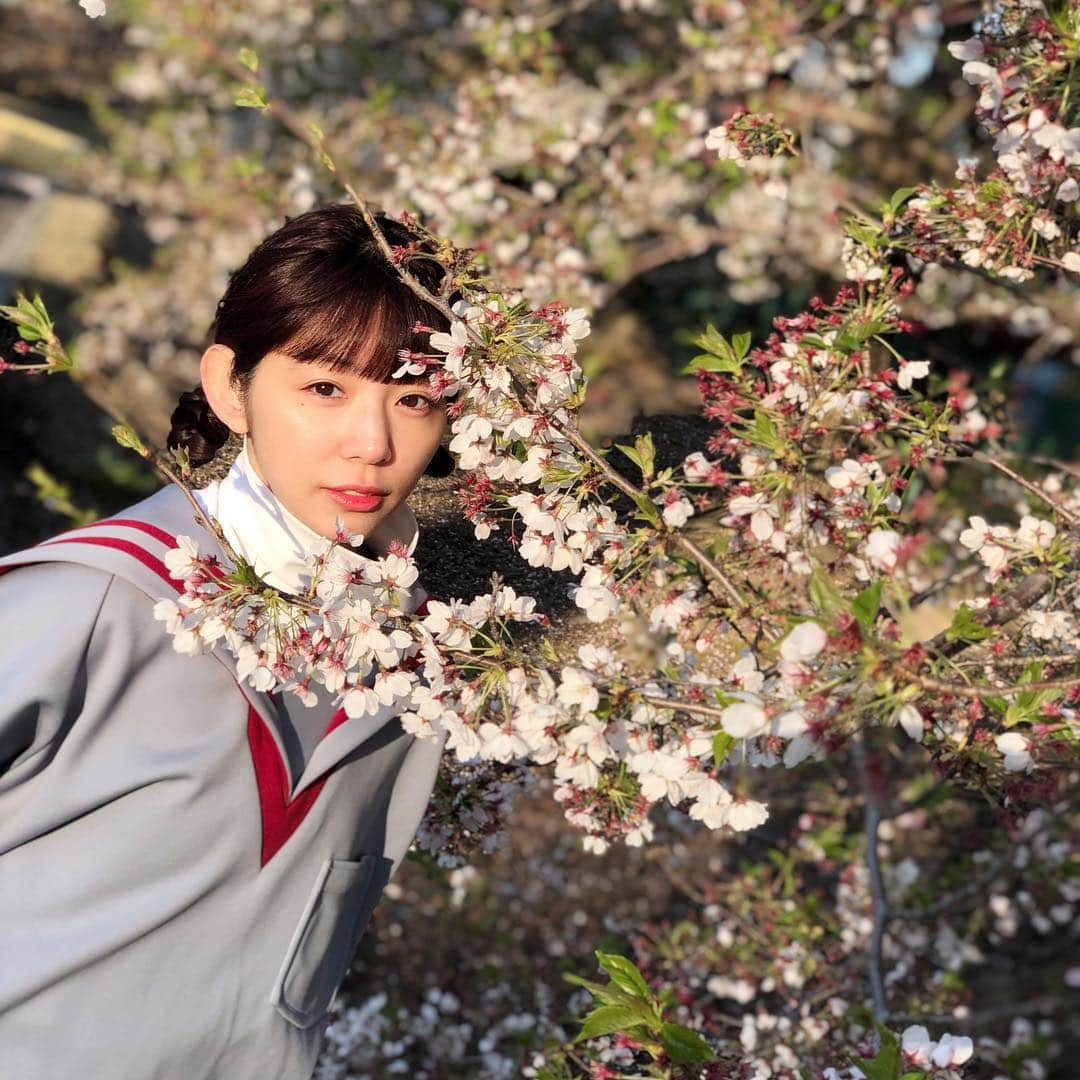 大場はるかさんのインスタグラム写真 - (大場はるかInstagram)「あいふぉんてんのお兄ちゃんに桜と撮ってもろた わいもあいふぉんてんでポートレートモードしたい」4月13日 21時33分 - oobaharuka