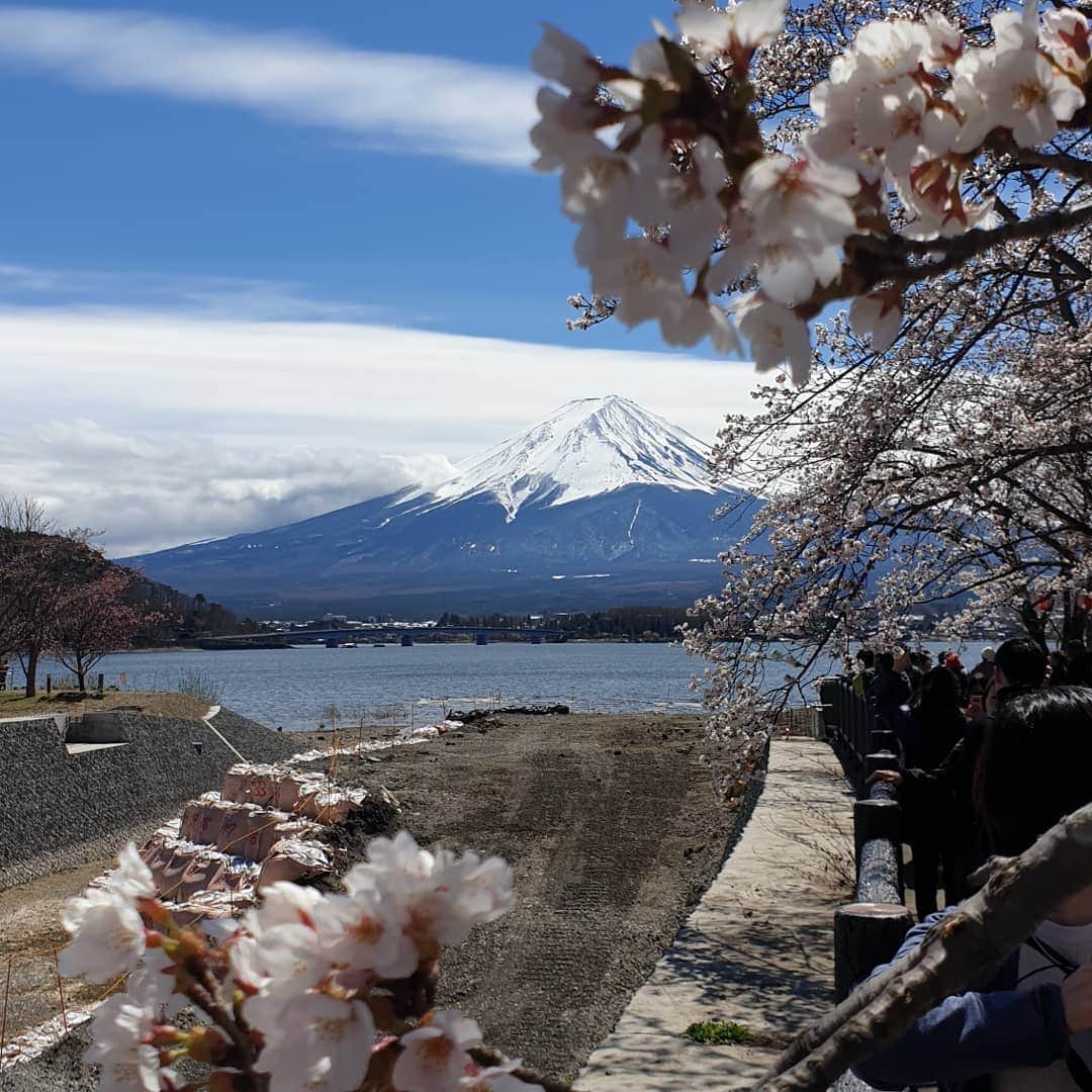 メリティナ・スタニウタさんのインスタグラム写真 - (メリティナ・スタニウタInstagram)「В Японии я процветающий фотохужожник 😁😅 . Листайте➡️ и  и оцените , какая красота в этой стране весной даже со смартфона в руках вообще не профессионала без доли обработки 😸 ⠀ #japan #tokyo #sakura #fuji #fujisan #travel #traveljapan #nature #mountains #bamboo #bambooforest #cherryblossom」4月13日 21時40分 - melitinastaniouta
