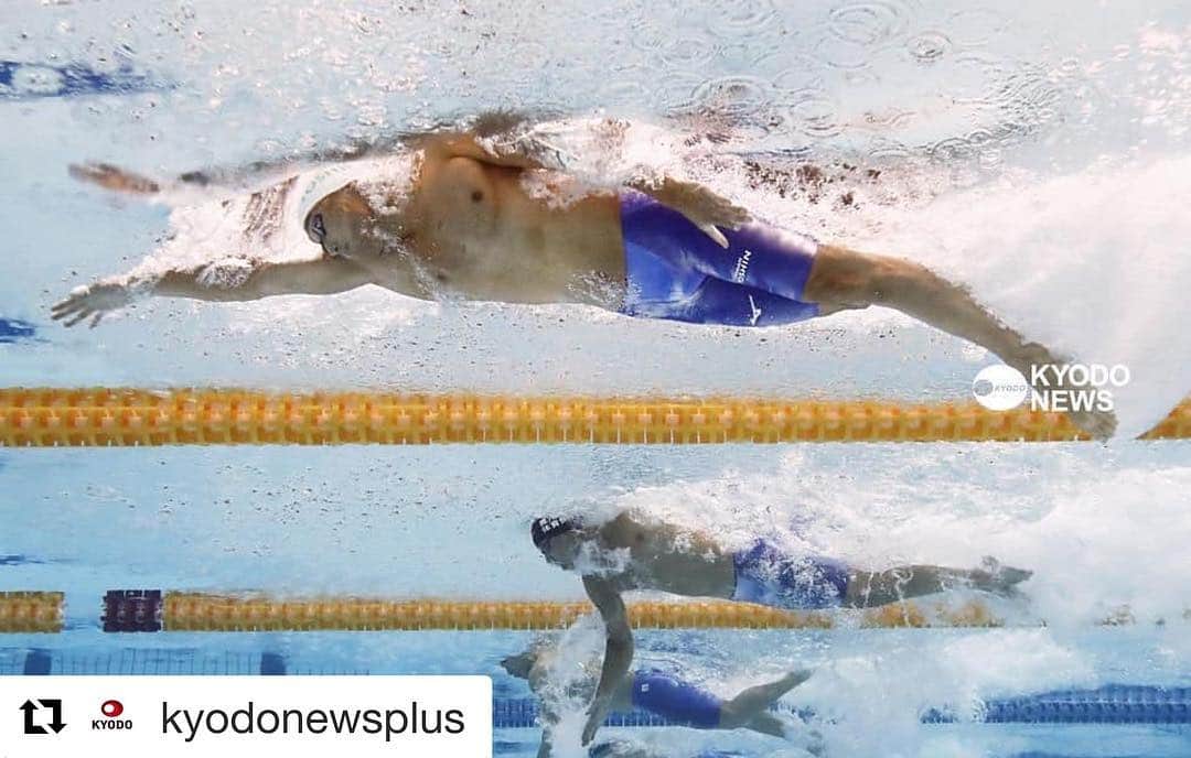 のインスタグラム：「ナイスフォト🏊🏻‍♂️あんまり全力で泳いでるように見えない🤔 #イトマン東進#ミズノ  #Repost @kyodonewsplus Shinri Shioura cruises to victory with a new Japanese record of 21.67 seconds in the men's 50-meter freestyle at the national championships at Tokyo Tatsumi International Swimming Center on April 7, 2019. Check out the link in our bio for more on #JapanSwim2019 and other news from Japan. . . . . . @shinri_shioura @tobiuo_japan #japanswim #sportsphotography #swimphoto #tokyo2020 #tobiuojapan #underwatercamera #トビウオジャパン #日本選手権　#世界選手権 #水中カメラ」