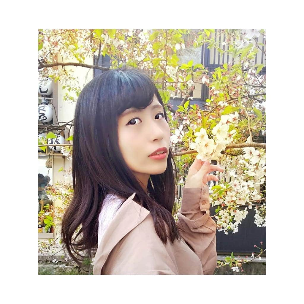 結月彩未さんのインスタグラム写真 - (結月彩未Instagram)「. 今日は買いに行かなくてはいけない ものがあったのでお出掛けしました＊  桜が今週がラストチャンスかな？ と思ったのでお母さんに写真を 撮ってもらったんだけど 上手くなくて「こう撮ってほしいの！」 といったものが撮れませんでした(笑)  なので加工でそれっぽく、、、笑  というか目瞑ってるか半開きの 写真ばっかりだった:-( . 目当てのものは買えたし それとは別で気になってたものも 買えたので満足です！ １つだけ欲しいの買えなかったけど↓  今日買えたやつはInstagramに載せます♭  #photo #portrait #model #cherryblossom #kyoto #ポートレート #桜 #お花見 #京都」4月13日 21時51分 - yun.yuzukiami