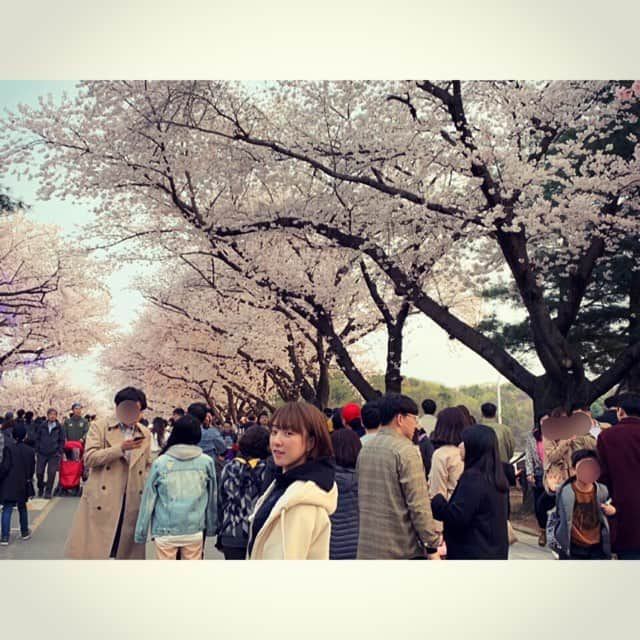 ソ・ヒョウオンさんのインスタグラム写真 - (ソ・ヒョウオンInstagram)「#벗꽃🌸 #렛츠런파크」4月13日 22時04分 - suh_hyowon_