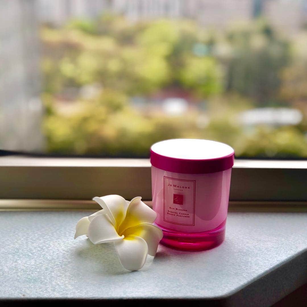 和央ようかさんのインスタグラム写真 - (和央ようかInstagram)「Love this limited amazing candle 🕯 😍😍😍👍 @jomalonelondon  の #silkblossom  #シルクブロッサム #この限定品は #最高すぎて #今回の旅を最高に幸せにしてくれた😍 #キャンドルだけでなく #コロンも手に入れたくなる😍 #フランバニフラワー や #オレンジブロッサム も #興味まる😍😍😍 #やはりいつも #素敵な香りに包まれていたい😘 #疲れも嫌なことも吹き飛んでくれるよね😘 #やはり #ジョーマローン 好き😍 #次の目的地にも持って行くよ😘」4月13日 22時10分 - yokawao0215