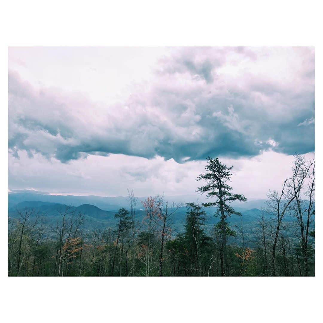 ジェシー・ベイリンさんのインスタグラム写真 - (ジェシー・ベイリンInstagram)「View from the top // @blackberry.mountain」4月13日 22時34分 - jezziebaylin