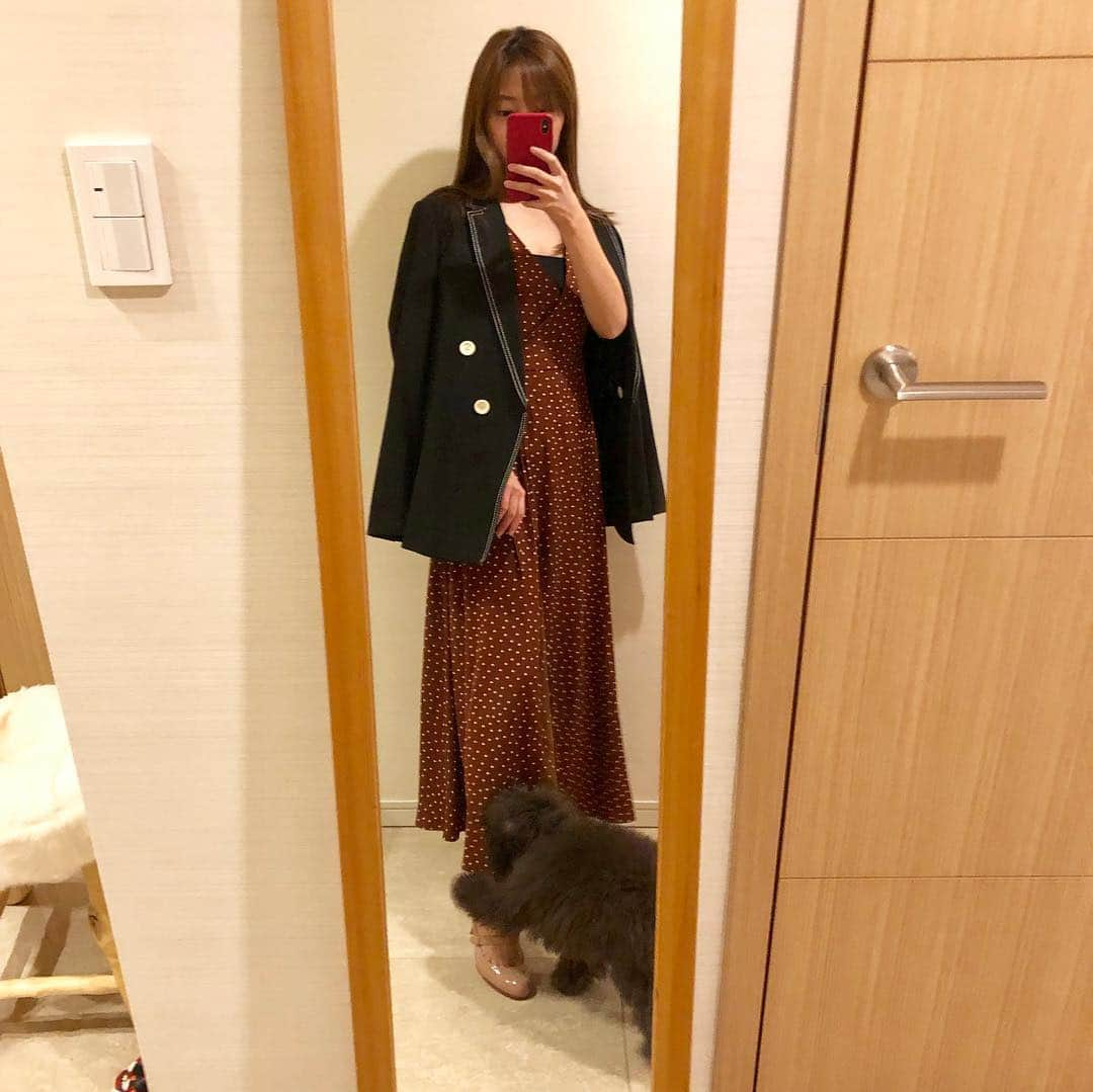 山下莉奈さんのインスタグラム写真 - (山下莉奈Instagram)「好きしかない組み合わせ💕 ドット✨カシュクール✨ワンピース✨ジャケット✨鼓太郎🐶  #fashion #春コーデ #ぼくは鼓太郎  ところで。最近ポーちゃんが写ってくれない😢 #鼓太郎のファッションチェック」4月13日 22時57分 - rinayamashita