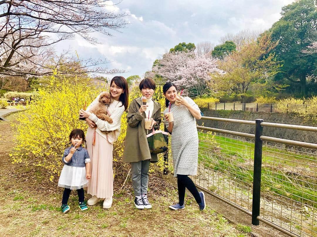 小倉星羅さんのインスタグラム写真 - (小倉星羅Instagram)「今年はたくさんお花見できました🌸 ミニさんもね🐶♡ #お花見 #minniesan #toypoodle  #dogstagram」4月13日 23時07分 - seira_ogura