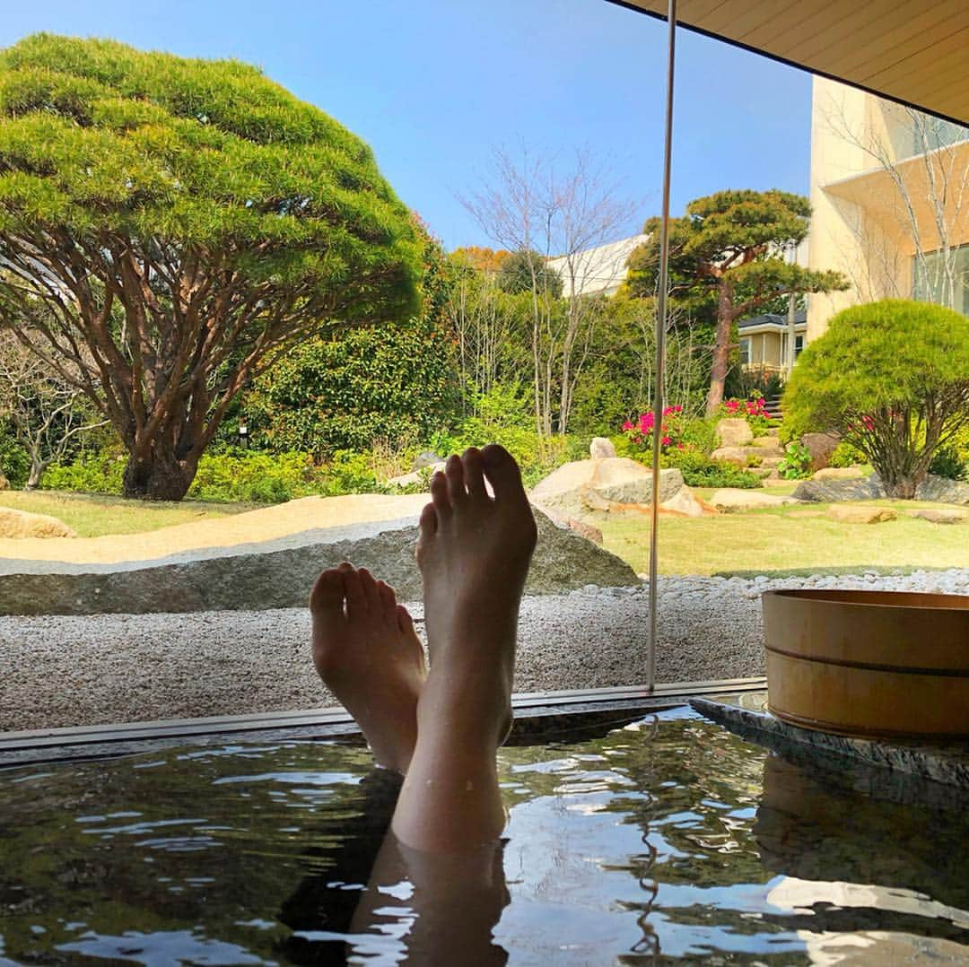 尻無浜冴美さんのインスタグラム写真 - (尻無浜冴美Instagram)「ちょうど一週間前は熱海旅行だったのか〜☺️♨️﻿ 温泉に美味しいごはんに美しい景色！！！﻿ ﻿ 朝風呂もしたし、欲張って温泉には4回入っちゃったよ♪笑﻿ 新鮮な地魚の刺身とお酒、最高でした😍😍﻿ ﻿ ﻿ #熱海 #atami  #熱海旅行 ﻿ #温泉 #温泉旅行 #spa #hotsprings #trip #travel  #熱海グルメ  #熱海駅前  #趣味垢さんと繋がりたい  #家族旅行  #グルメ #グルメ好きな人と繋がりたい ﻿ ﻿」4月13日 23時01分 - saemi_shinahama