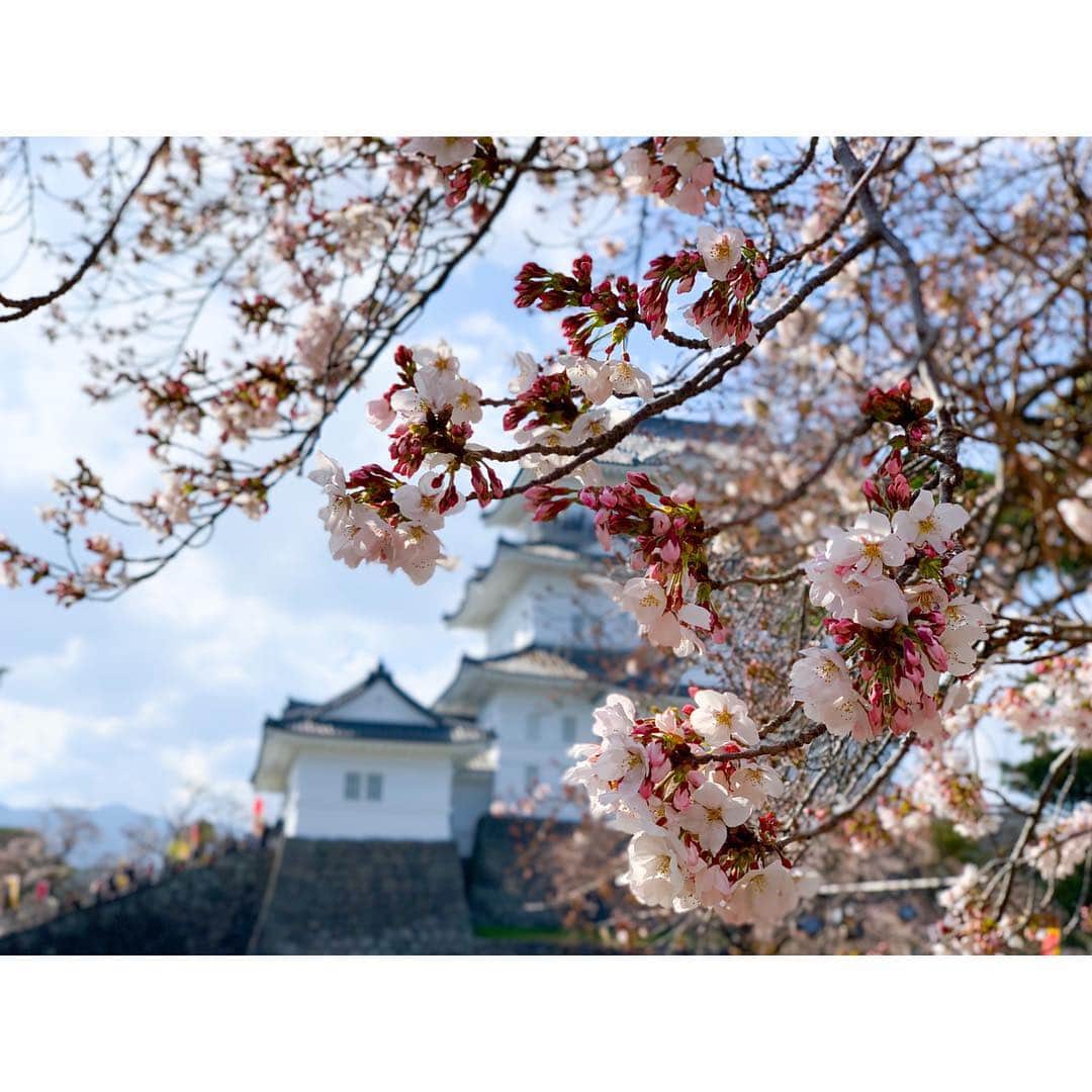 ai.takahashi328のインスタグラム