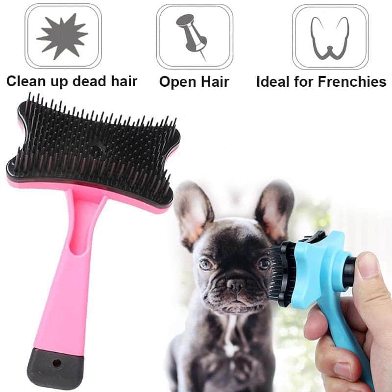 French Bulldogさんのインスタグラム写真 - (French BulldogInstagram)「French Bulldog Professional Shampoo Brush 🧼🛀 The structure of comb can prevent later hair shed, and make your Frenchie coat shiny, soft and smooth. 🌟🌟🌟 .⠀ . ⠀ .⠀ .⠀ .⠀ #bulldogmoments #frenchbulldogsofinstagram#frenchbulldogs #bullynation #bulldog #bullybreeds#frenchbulldoglove #bullylifetv #frenchiephotos#frenchiepuppy #frenchbulldogpuppy #bulldoglovers#französischebulldogge #french_bulldogs #bullygram#frenchiegram #bullylove #bulldogfrances #bullylife#ilovemyfrenchie #bullypics #adorabull」4月13日 23時15分 - frenchie.world