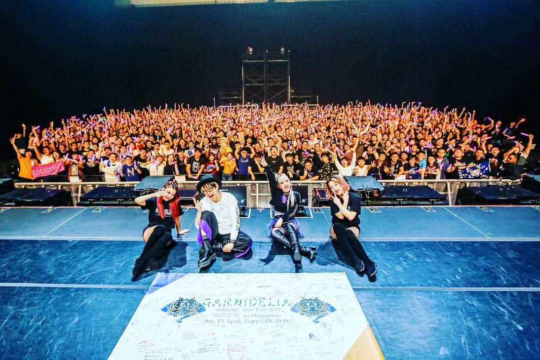 tokuさんのインスタグラム写真 - (tokuInstagram)「Thank you😘Sg🇸🇬 See you again(*´-`) #garnidelia #stellacage #stellacageasiatour #stellacageasiatour2019 #singapore #avid #mtrx #bosepro #iconnectivity #mbp #digitalperformer #nordstage #acousticrevive #v02hd」4月13日 23時40分 - toku_grnd