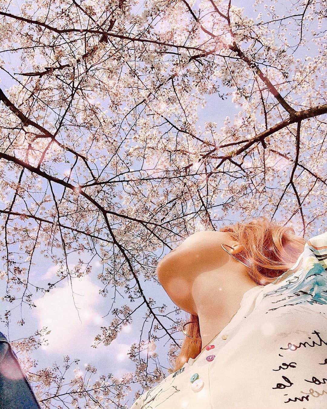 春咲ひなたさんのインスタグラム写真 - (春咲ひなたInstagram)「🌸🌸🌸 #春#お花見#代々木公園#桜#さくら#hanami」4月13日 23時49分 - hinatanuki