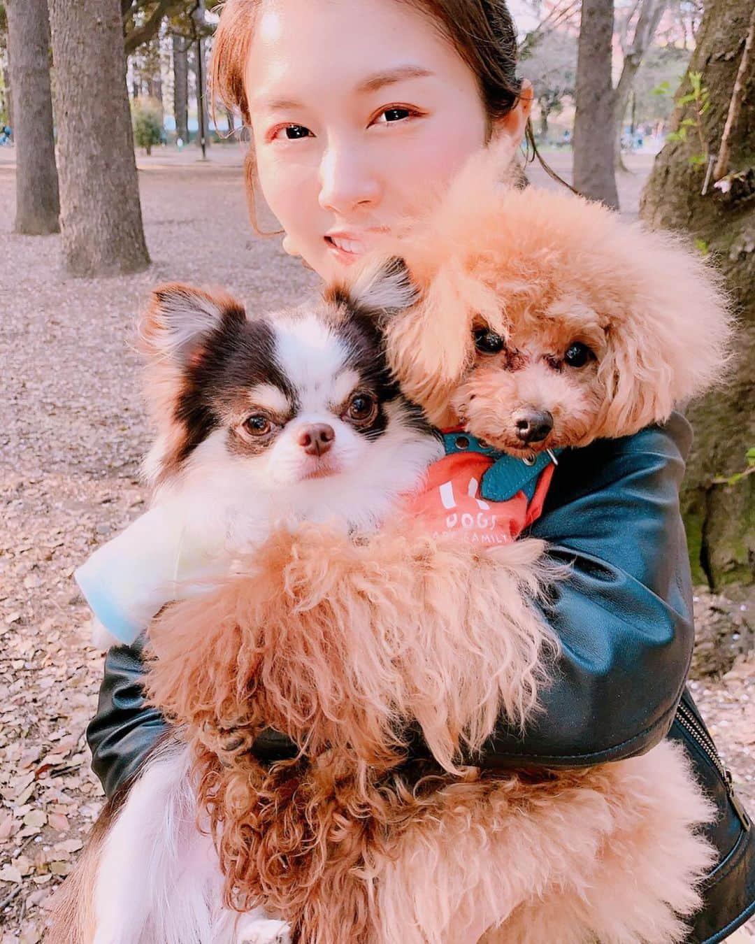 麻衣愛さんのインスタグラム写真 - (麻衣愛Instagram)「楽しそうなのは私だけ🐶💦 そんな顔しないで〜笑笑 #目が笑ってない #笑ってくれない #抱っこ #下手なのかな #可愛い #ワンチャン」4月13日 23時51分 - maiaiii_0814