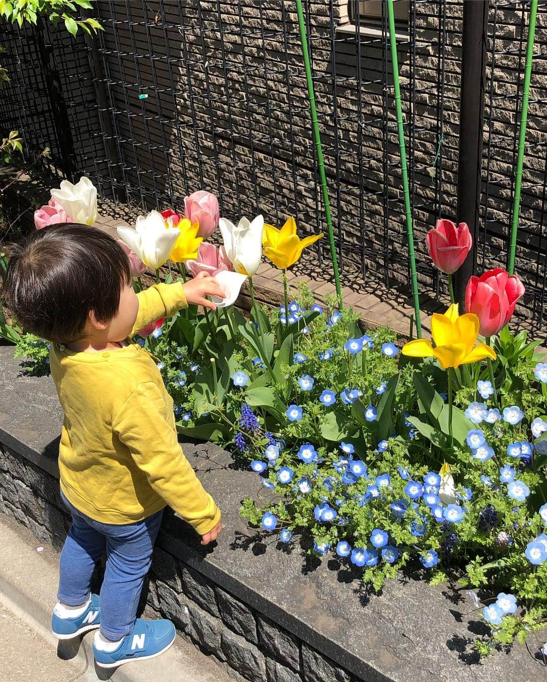 中岡由佳さんのインスタグラム写真 - (中岡由佳Instagram)「春の陽気に誘われて。娘はスカイブルーのスニーカーを履いて軽やかに。2歳になった息子はチューリップの前で足を止めてからロケット滑り台へ。何回も滑り大喜び！ #4y8m #2y0m #japanese」4月13日 23時57分 - yuka_nakaoka