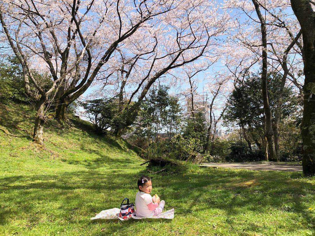 空さやかさんのインスタグラム写真 - (空さやかInstagram)「* 花の中でいちばん好きな🌸 明日の雨で散っちゃいそう。。 * 今年は3回しかお花見できなかったけど、そのうちの2回はピクニックできて子どもたちが喜んでくれたから満足💮 * * 娘に「桜は雨が降ると花びらが下に落ちてなくなっちゃうんだよ」って話すと少し驚いて哀しそうな顔をした。 「桜は花が咲いてるときがとっても短いの。だからいいんだよ♡また来年会えるね♡」って言うと、「そっかー♪」って笑ってくれた☺️ * * #cherryblossom  #桜 #bestofflowers  #お花見 #ピクニック #花を愛でる心 #幸せをくれるパワー #自然の力」4月14日 0時00分 - sky_sayaka