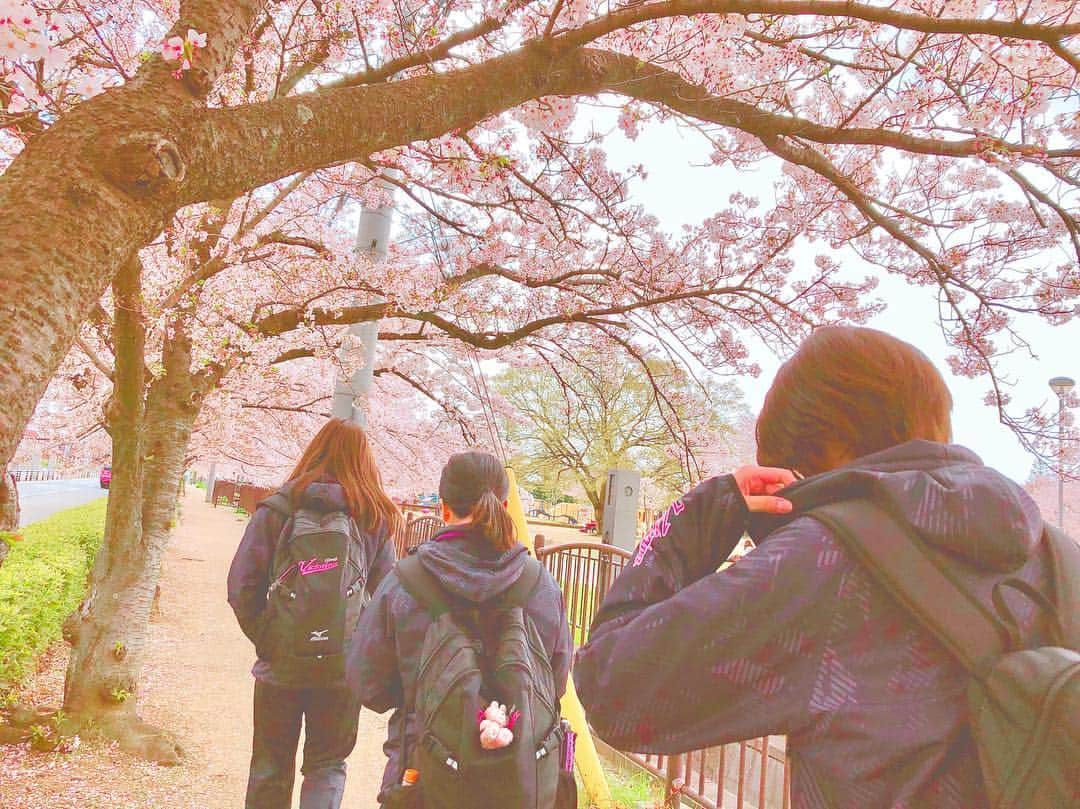 長野有紗のインスタグラム：「. 桜道、良い写📷🌸 撮影者： #りほ 出演者： #みれい #なお #ありさ #ヴィクトリーナ姫路」
