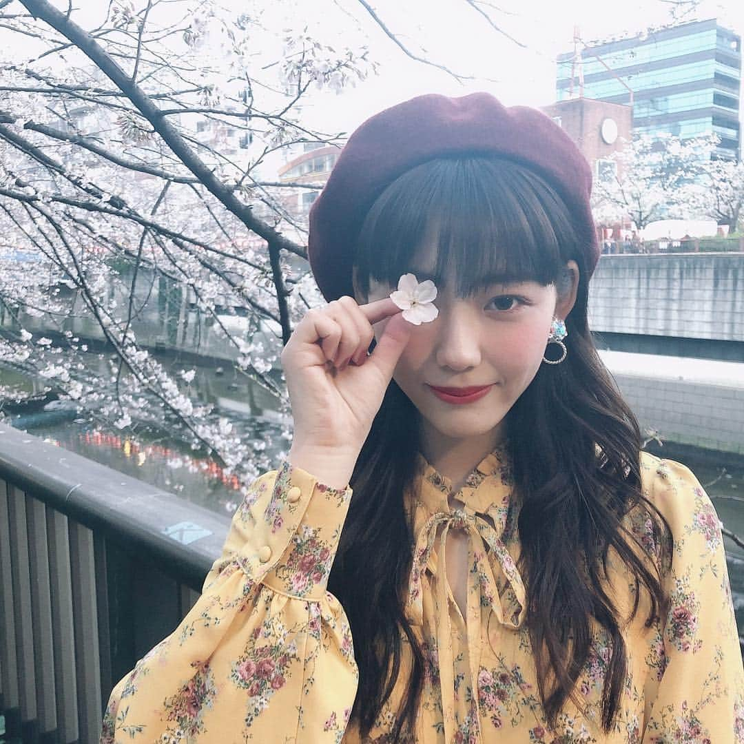 中村里帆さんのインスタグラム写真 - (中村里帆Instagram)「おはようございます🌸 ここ数日間喉の調子が悪くてカスカスガサガサなんですけど、早く治す必殺方法知りませんか....!!!!! #花びらは拾ったものだよ」4月14日 10時58分 - __rihostagram__