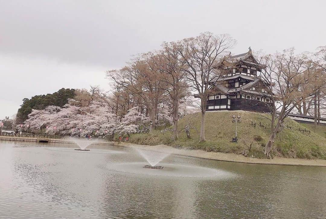 高倉萌香のインスタグラム：「. 上越市の高田公園🌸🍡 . ツイッターにも載せたのですがこっちにも☺️ . 高田公園は毎年綺麗に桜が咲きます🌸🌸🌸 夜桜も三代夜桜といってとっても素敵なんです☺️ . 上越市は素敵なところだからみんなにも遊びにきてもらいたいな〜☺︎」