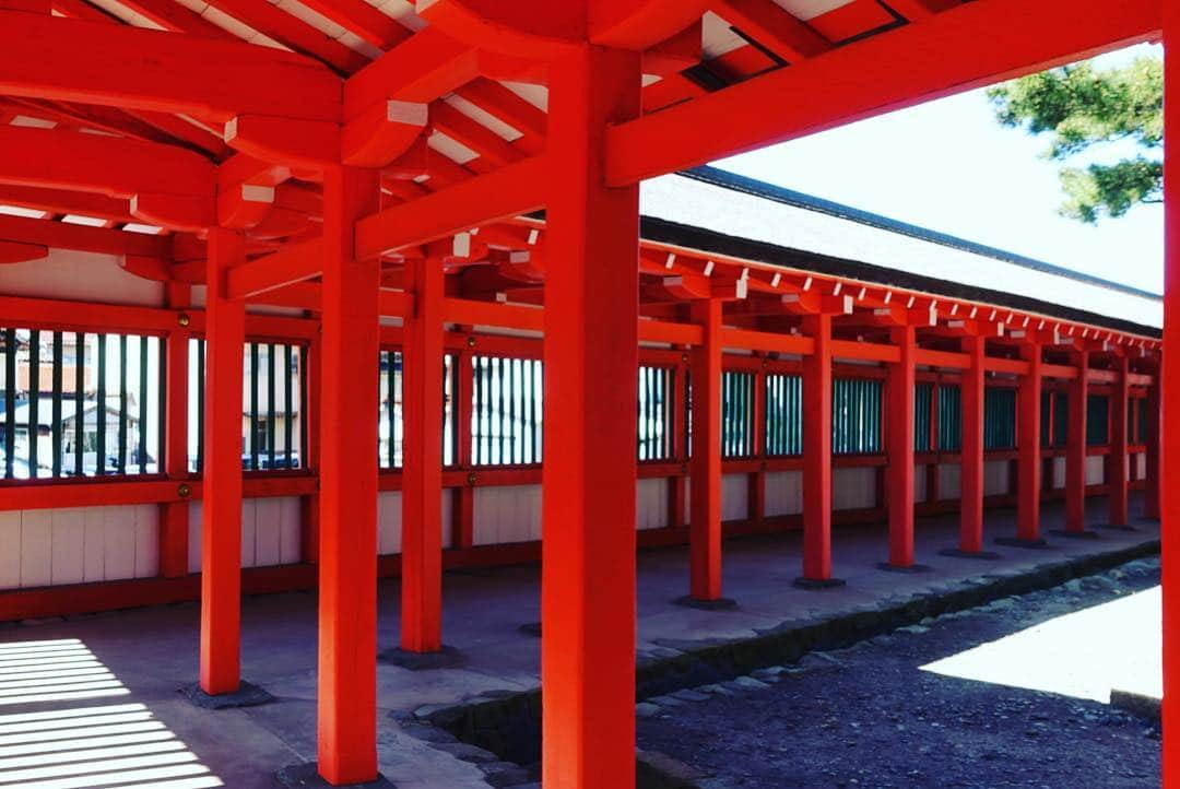 いぶくろ聖志さんのインスタグラム写真 - (いぶくろ聖志Instagram)「日御碕神社  #camera #japan」4月14日 9時48分 - b.smpl