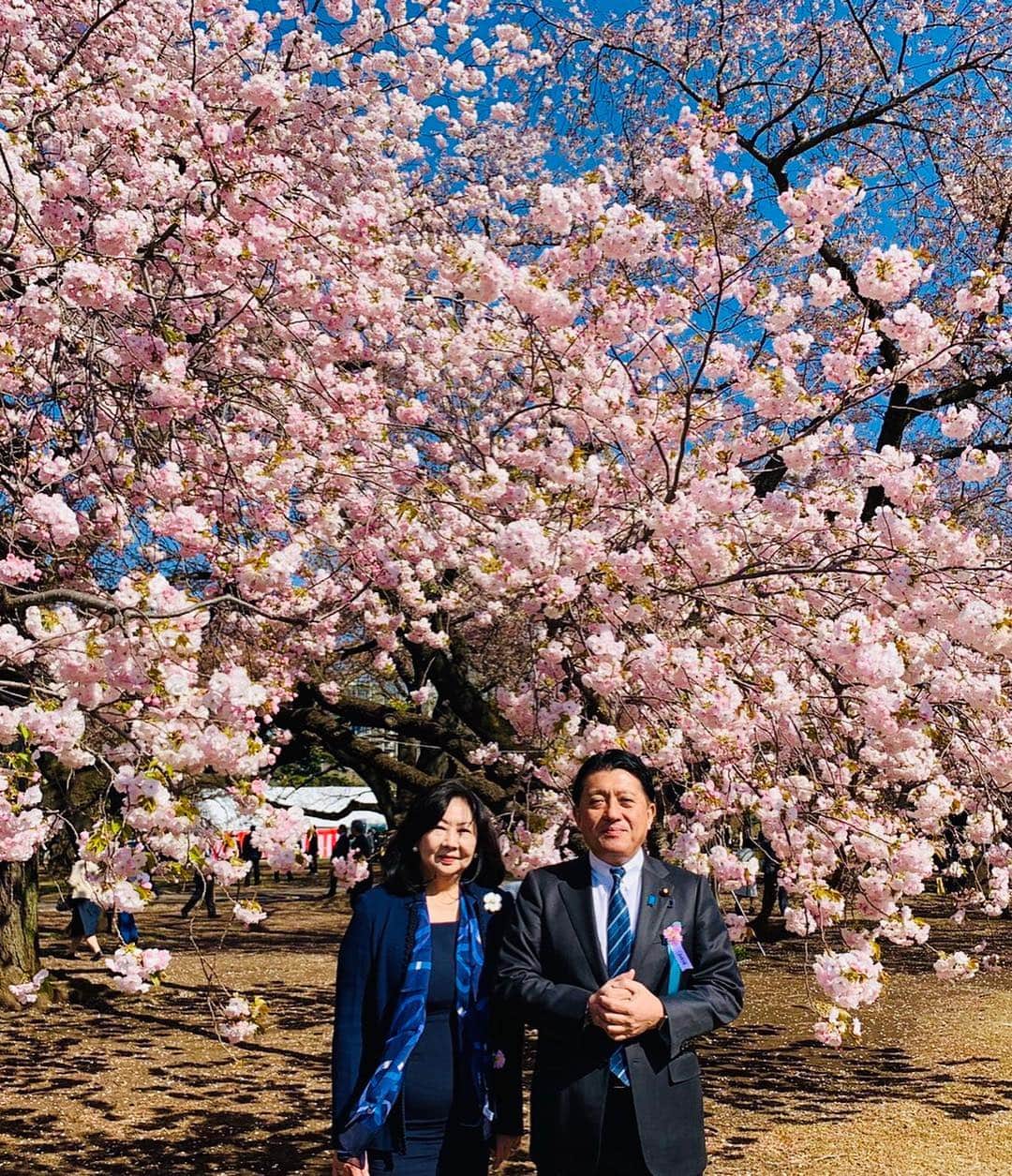 平井卓也さんのインスタグラム写真 - (平井卓也Instagram)「安倍総理主催の桜を見る会に閣僚として参加させていただきました。平成最後の会は素晴らしい天候に恵まれ、多くの皆さんが参加しました。次の時代をより良きものにするために、決意を新たにさせていただきました。頑張りましょう！#平井卓也 #桜を見る会」4月14日 9時50分 - hiratakuchan0125