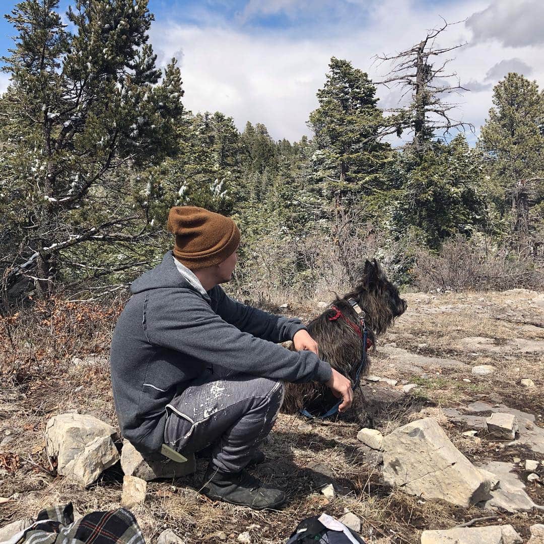 カイル・ガルナーさんのインスタグラム写真 - (カイル・ガルナーInstagram)「Hike dayyyyyy with the muppet. #hiking #outdoors #outside #forest #dog #dogsofinstagram #dogs #hike」4月14日 9時59分 - kylegface