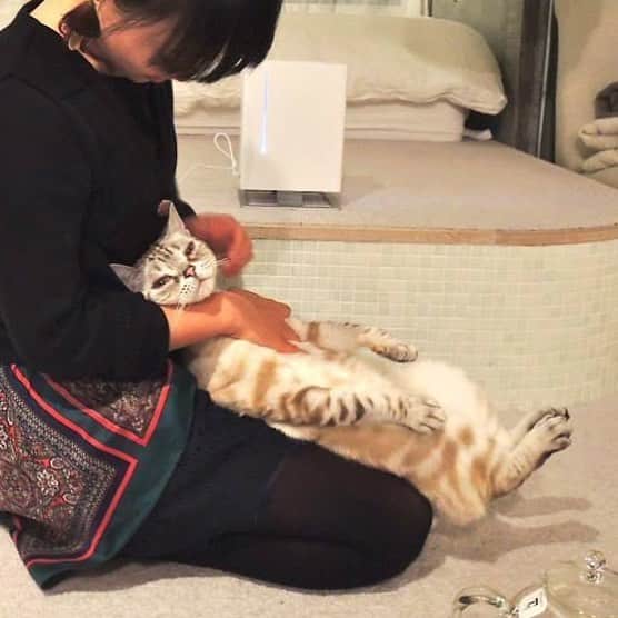 青山有紀さんのインスタグラム写真 - (青山有紀Instagram)「もう一枚あった。ネコ人間写真😂 #garu_cat #ガル様」4月14日 10時03分 - yukiaoya