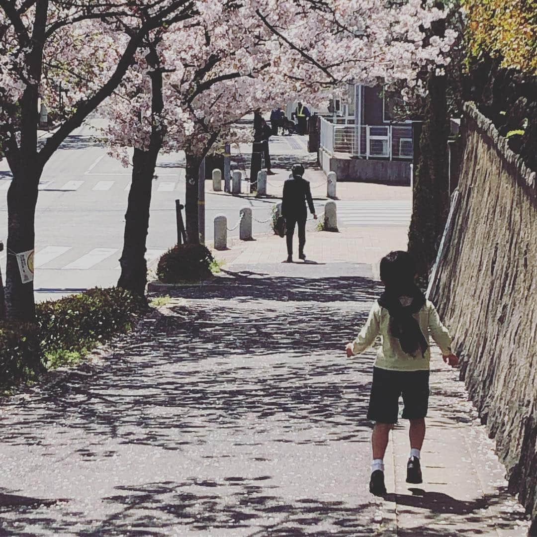 松川浩子さんのインスタグラム写真 - (松川浩子Instagram)「最近 息子のやんちゃが 度が過ぎて 困っております。  何をやっても どう言いなだめても 思い通りどころか 逆を行く始末。  入学早々 多くの方のご協力を得ないといけないことになっていまして  担任の先生だけでなく 男の先生２人に 警備員さん3人  そして今日は男子トイレに 閉じこもってしまい小一時間。 施設の人に 鍵を開けてもらわないと いけないことに。  多くの方に これでもかって言うぐらい 迷惑かけ倒しております。  はぁ。  難しいもんですね。  環境の変化でこうなっているのか 私の子育てがあかんのか  今日の雨とともに 桜も散ってしまうんやろなぁ。 私の心もそんな感じでございます。  #1年生男子#おめでとうのはずが #やんちゃすぎる#子育て#教育#絶賛悩み中」4月14日 10時27分 - hiroko_matsukawambs