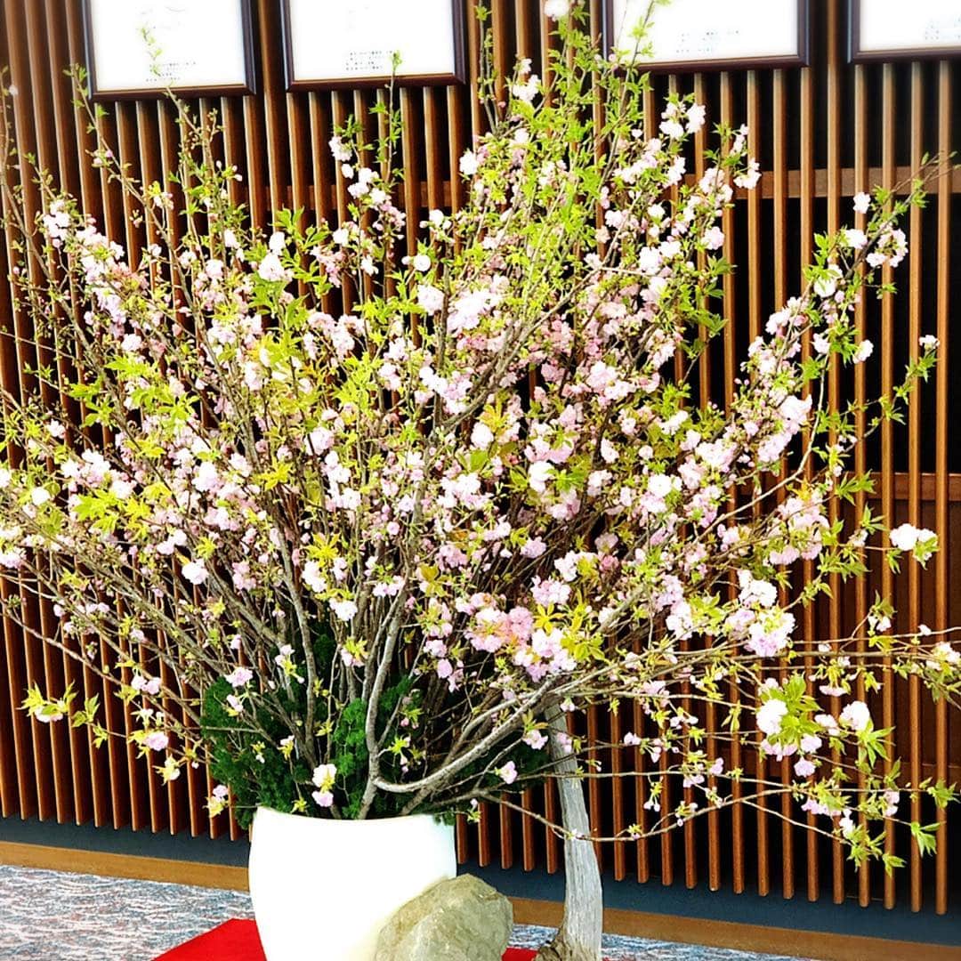 宮内 孝之 花飾人 花の妖精のインスタグラム