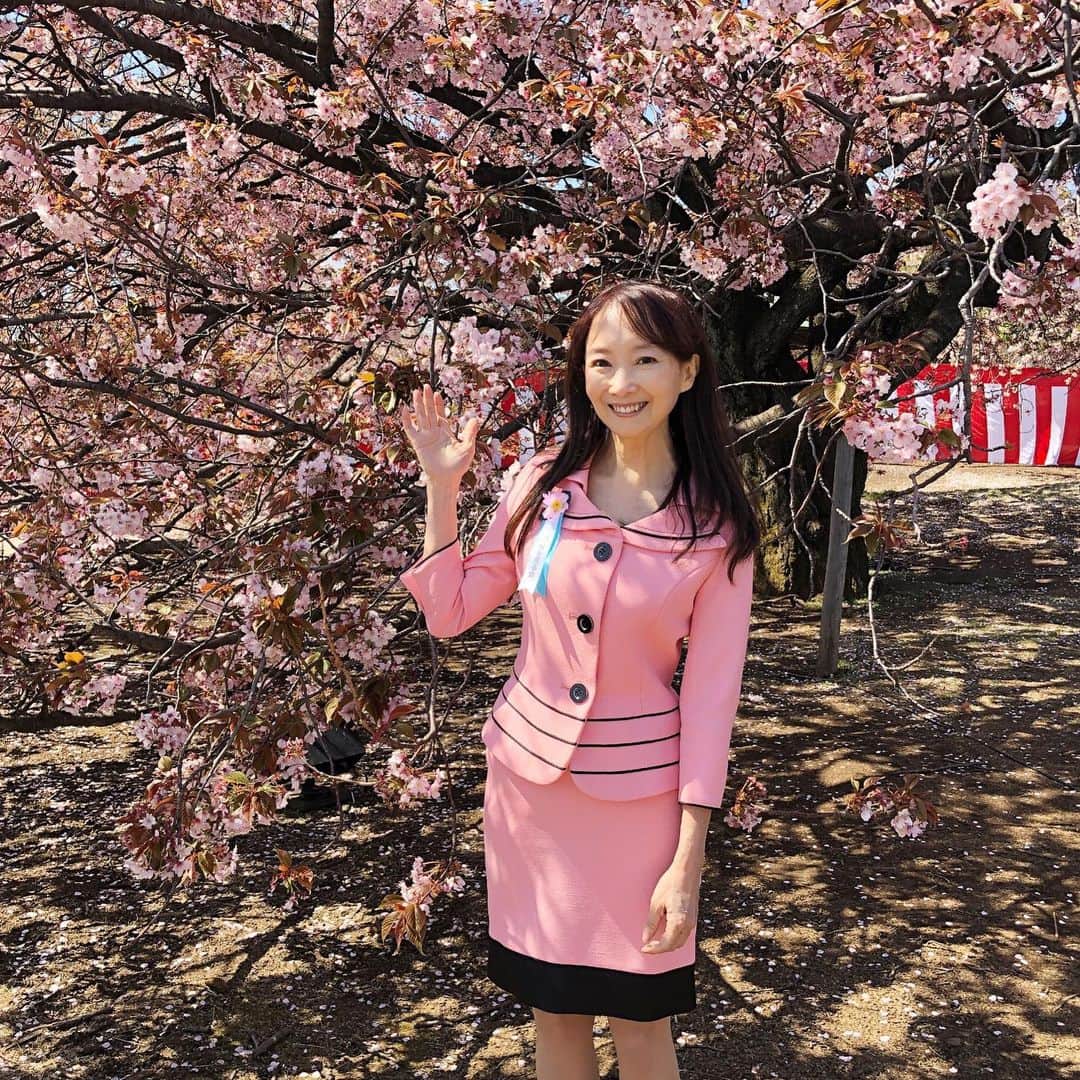 アグネス・チャンさんのインスタグラム写真 - (アグネス・チャンInstagram)「Invited by Prime Minister Abe of Japan to the annual Cherry Blossoms garden party. Great weather, lovely blossoms and delightful company.」4月14日 1時54分 - agneschan1
