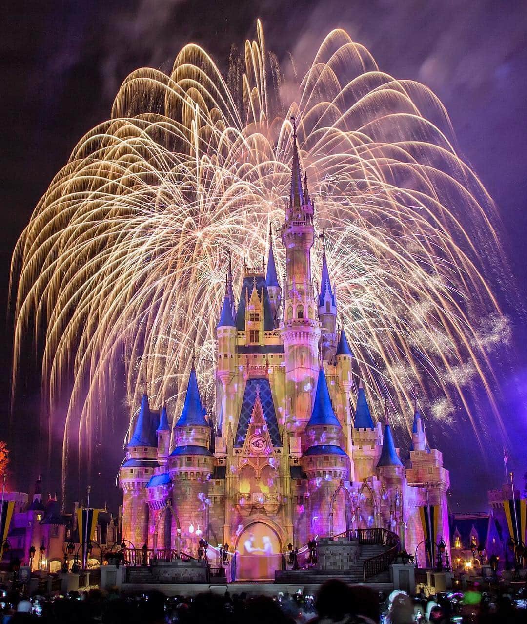 Walt Disney Worldのインスタグラム：「Here’s to a little extra pixie dust this weekend! ✨#MagicKingdom #WaltDisneyWorld (📷: @christopher_fong)」