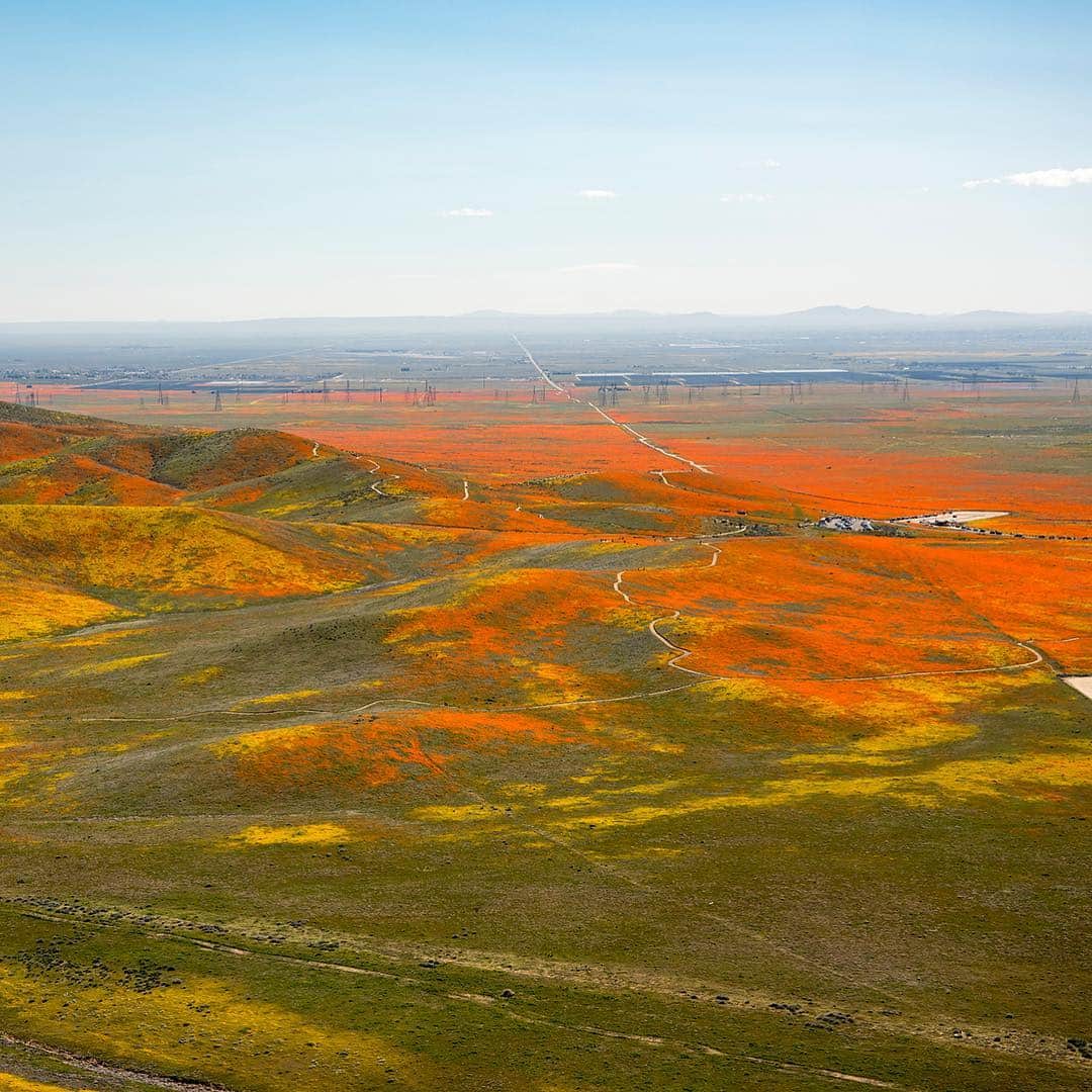 CNNさんのインスタグラム写真 - (CNNInstagram)「This is what Southern California’s spectacular #superbloom looked like from the sky. A NASA pilot flew over the Antelope Valley Poppy Reserve in Los Angeles County earlier this month and snapped these images of the desert wildflowers, which were particularly vibrant this year following a rainy winter. (📸: NASA)」4月14日 3時43分 - cnn