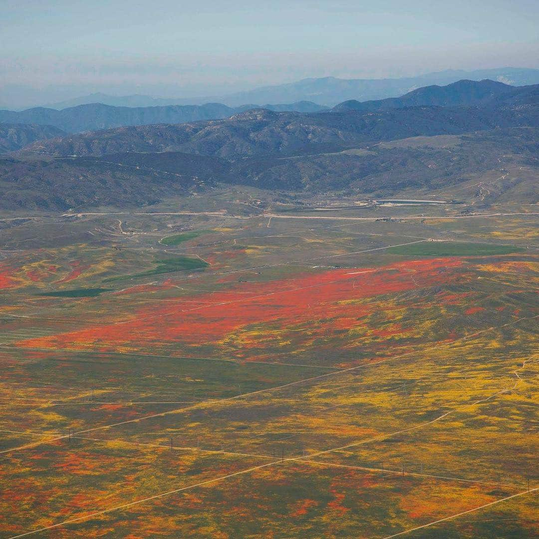 CNNさんのインスタグラム写真 - (CNNInstagram)「This is what Southern California’s spectacular #superbloom looked like from the sky. A NASA pilot flew over the Antelope Valley Poppy Reserve in Los Angeles County earlier this month and snapped these images of the desert wildflowers, which were particularly vibrant this year following a rainy winter. (📸: NASA)」4月14日 3時43分 - cnn