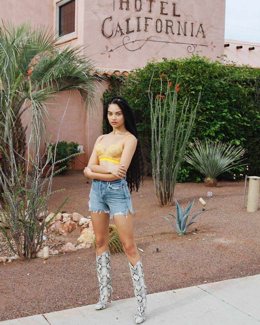 シャニーナ・シャイクのインスタグラム：「On the go in Coachella with @tezenisofficial  #tezenisxfestival 🌻🌴✨」