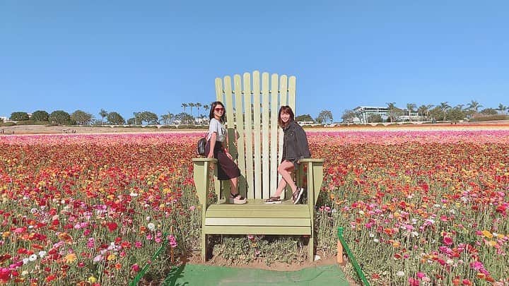 沢辺りおんさんのインスタグラム写真 - (沢辺りおんInstagram)「3.4月限定でやっている #theflowerfields に行ってきました！車で莉麻が連れてってくれたよ〜！ とってもお花が綺麗だった🌼  #ドライブ #女子2人」4月14日 4時51分 - rionsawabe