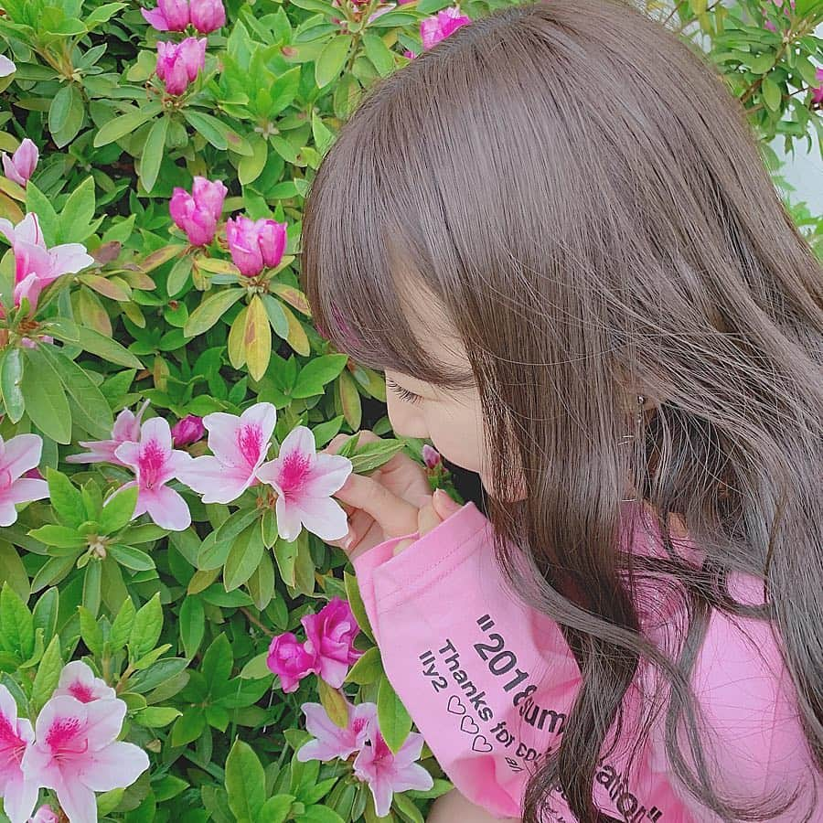 山本彩加さんのインスタグラム写真 - (山本彩加Instagram)「お花に恋した🌷﻿ ﻿ ﻿ ﻿ ﻿ みんなも恋して❤︎﻿ ﻿ #お花 #薔薇 がすき #恋 #ピンク」4月14日 11時10分 - ayaka48_yanyan