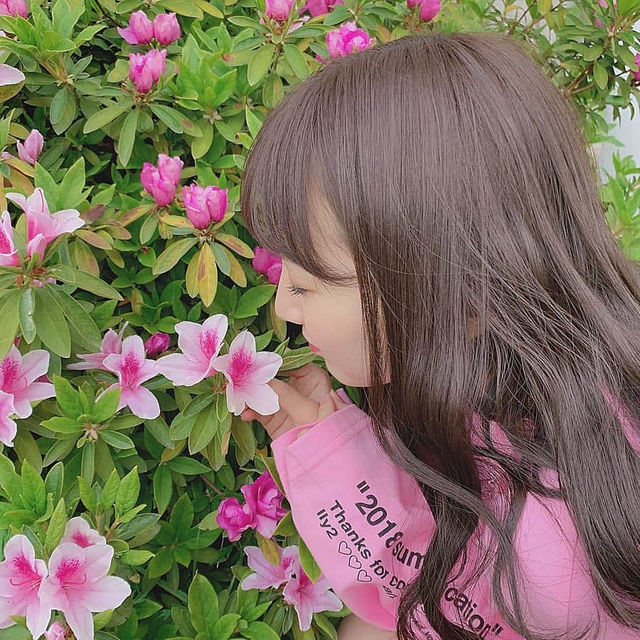 山本彩加さんのインスタグラム写真 - (山本彩加Instagram)「お花に恋した🌷﻿ ﻿ ﻿ ﻿ ﻿ みんなも恋して❤︎﻿ ﻿ #お花 #薔薇 がすき #恋 #ピンク」4月14日 11時10分 - ayaka48_yanyan