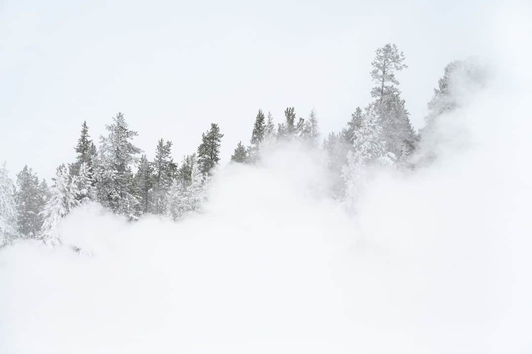 National Geographic Travelさんのインスタグラム写真 - (National Geographic TravelInstagram)「Photo by @michaelclarkphoto | Hot water vapor billows above the thermal features at Biscuit Basin in Yellowstone National Park on a snowy winter day in Wyoming. #yellowstone #wyoming #biscuitbasin」4月14日 7時01分 - natgeotravel