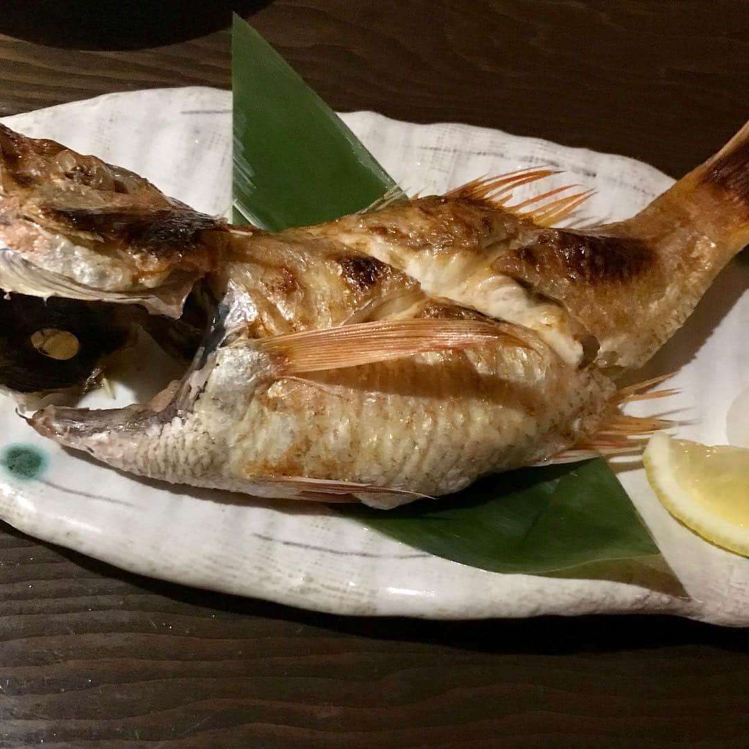 水木一郎さんのインスタグラム写真 - (水木一郎Instagram)「魚料理専門の店のメニューはいろいろあって迷うけど #〆さば と #みずだこの刺身  そしてやっぱ #のどぐろ をいただきました。こんなに丸々太ったのどぐろが驚くほど格安で食べられるのも魅力だＺ! #魚料理専門店  #新鮮格安 #水木一郎」4月14日 8時06分 - ichiromizuki