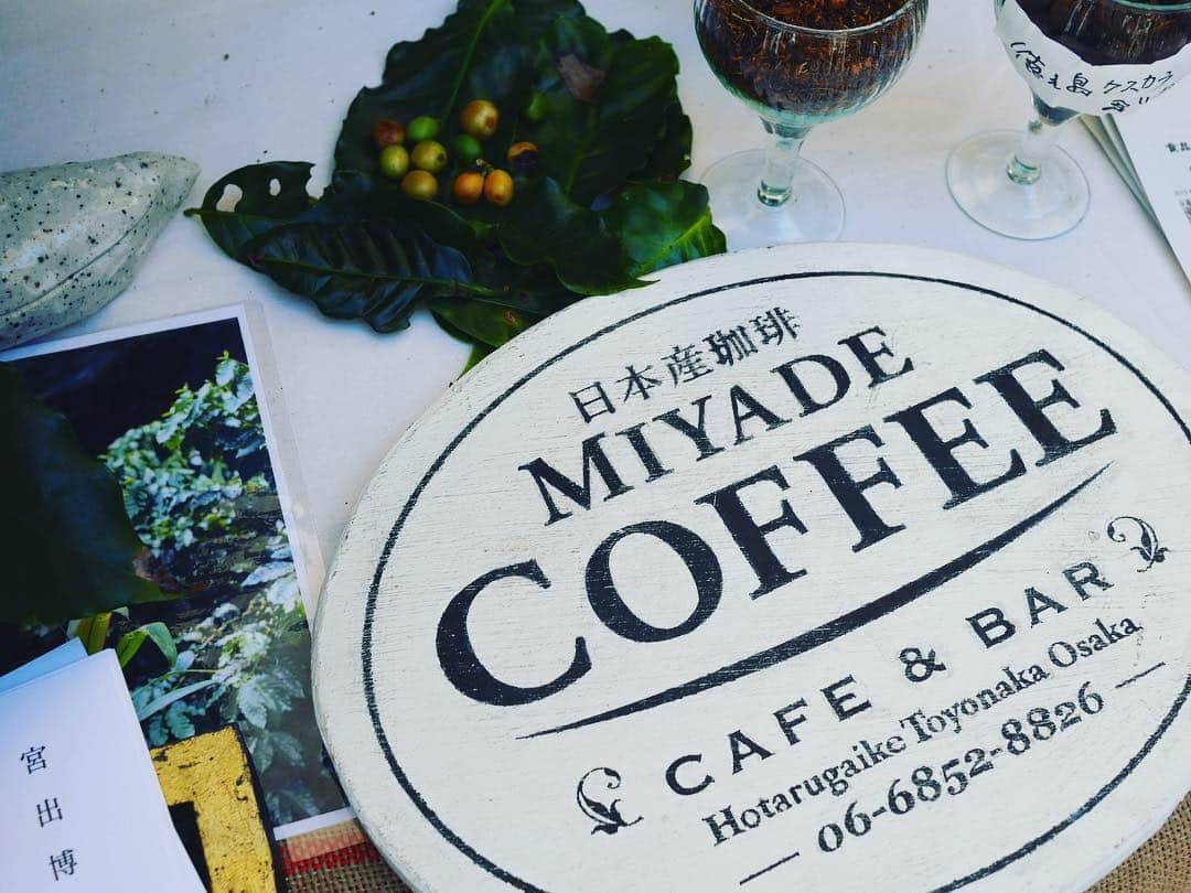 佐藤めぐみさんのインスタグラム写真 - (佐藤めぐみInstagram)「初めて本物のコーヒーの木を見た🧐#tokyocoffeefestival #2019#spring #今日も大混雑の予感。  #宮出珈琲園 #初めて飲んだコーヒーの花のお茶❣️鼻に抜ける香りが爽やかで、みずみずしくて😍#直接コーヒー農園の方たちのお話を聞けるのが面白い😋#ふふふ」4月14日 8時58分 - meguuuuusuke