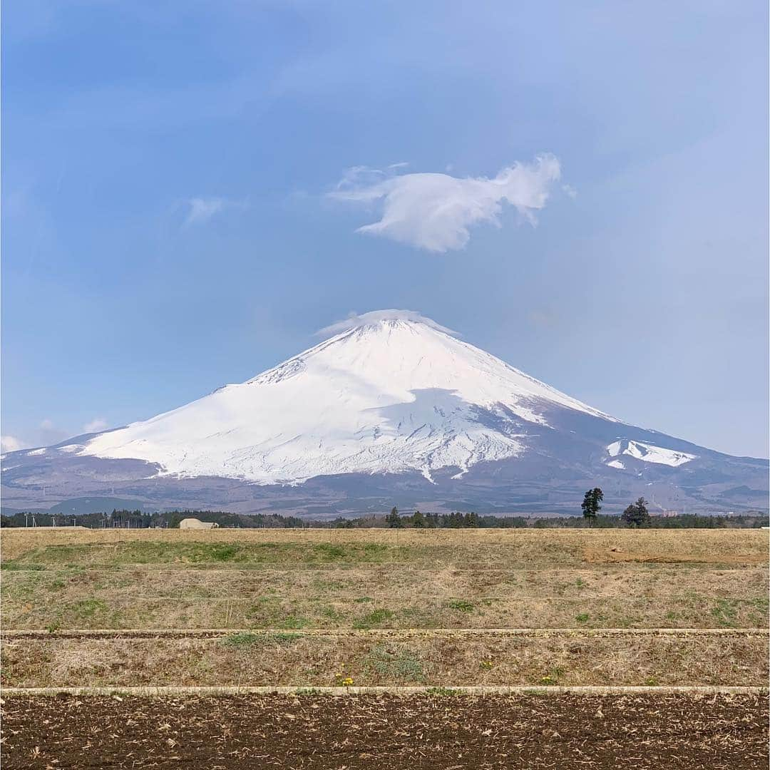 堀尾実咲さんのインスタグラム写真 - (堀尾実咲Instagram)「富士にきた(・∀・) 久しぶりにサーキットでのお仕事だよん☺️❤︎ #富士スピードウェイ #モーターファンフェスタ」4月14日 8時58分 - misaki.horio