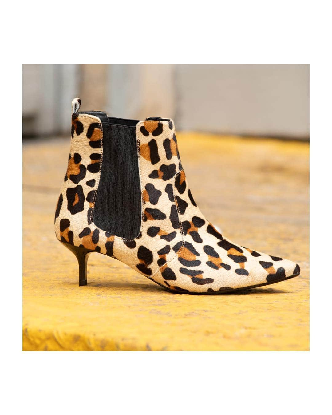 Santa Lollaさんのインスタグラム写真 - (Santa LollaInstagram)「As botas com salto kitten heel são hit no streetstyle e perfeitas para montar looks fashionistas! Deslize para o lado e escolha a sua favorita! [ Onça: R$349,90 | Lisas: R$299,90 ] #santalollainv19 #animalprint #kittenheels #chelseaboots」4月14日 9時01分 - santa_lolla