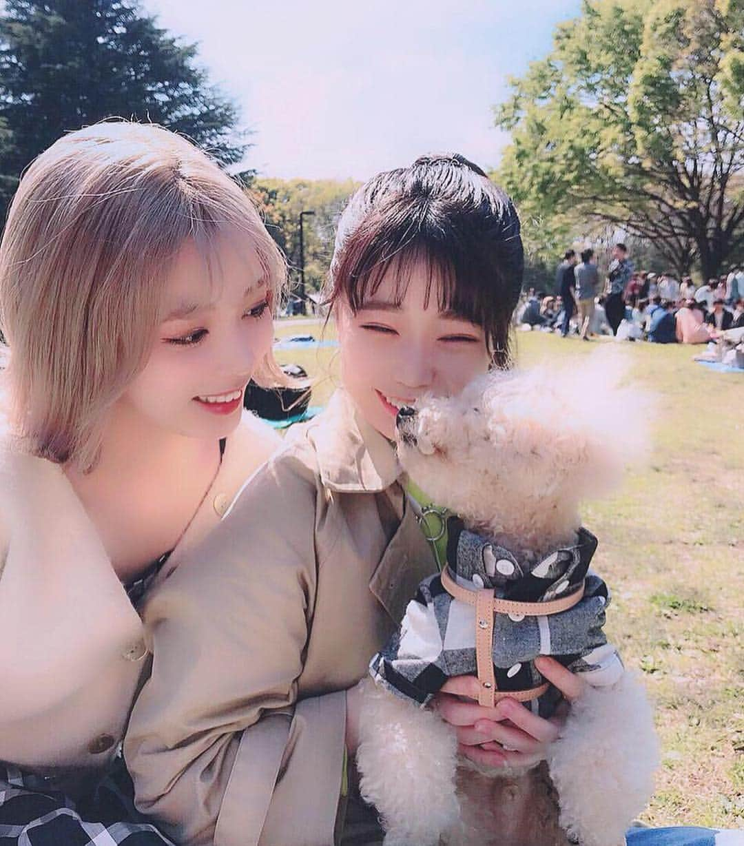 柏元萌華さんのインスタグラム写真 - (柏元萌華Instagram)「🍙🥤🥮🎈 春日和でした！🐶💞 #代々木公園  #ピクニック #キッシュ#スパムおにぎり#サンドイッチ#お弁当  #らっぴー#かわいい . .」4月14日 9時11分 - moepiii3_k