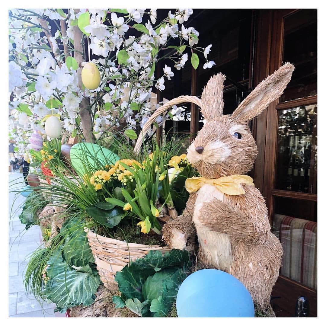 Olivia Burtonさんのインスタグラム写真 - (Olivia BurtonInstagram)「One week to go until Easter Sunday! 🐣 If you’re still on the hunt for some unique treats, we’re hosting an Easter Biscuit Decorating Workshop in our Covent Garden Boutique this afternoon, 12pm-4pm! 🍪 (psst! It’s completely complimentary and open to all ages!) Don’t forget to tag us (@oliviaburtonlondon) in your pics! 🍪💕 #MyOliviaBurton #CoventGarden #BunnyLovers #EasterBunny #LondonLife #PrettyBlossom」4月14日 18時55分 - oliviaburtonlondon