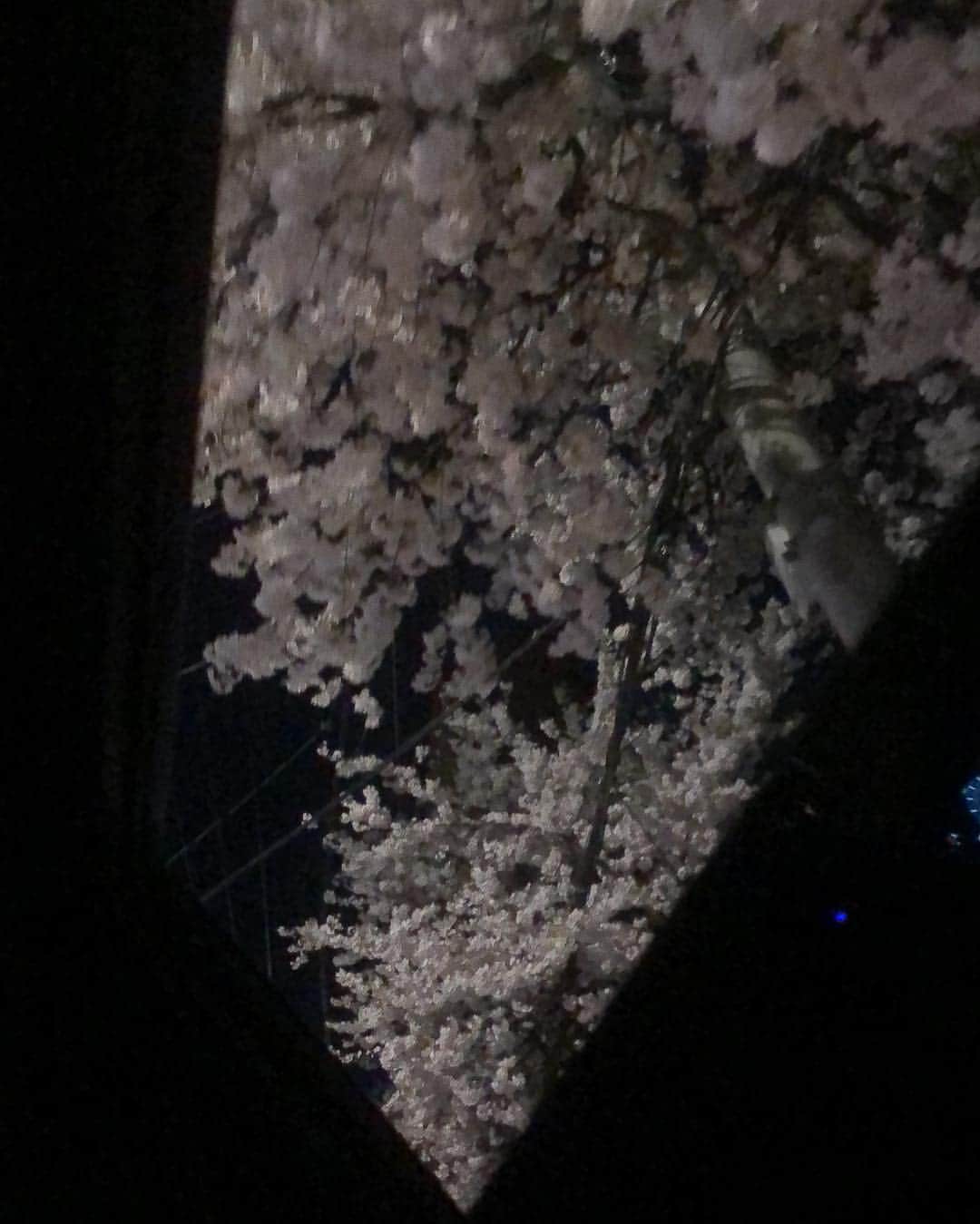 ジュノ さんのインスタグラム写真 - (ジュノ Instagram)「어디 이렇게 팝콘이 열렸디야?」4月14日 18時49分 - le2jh