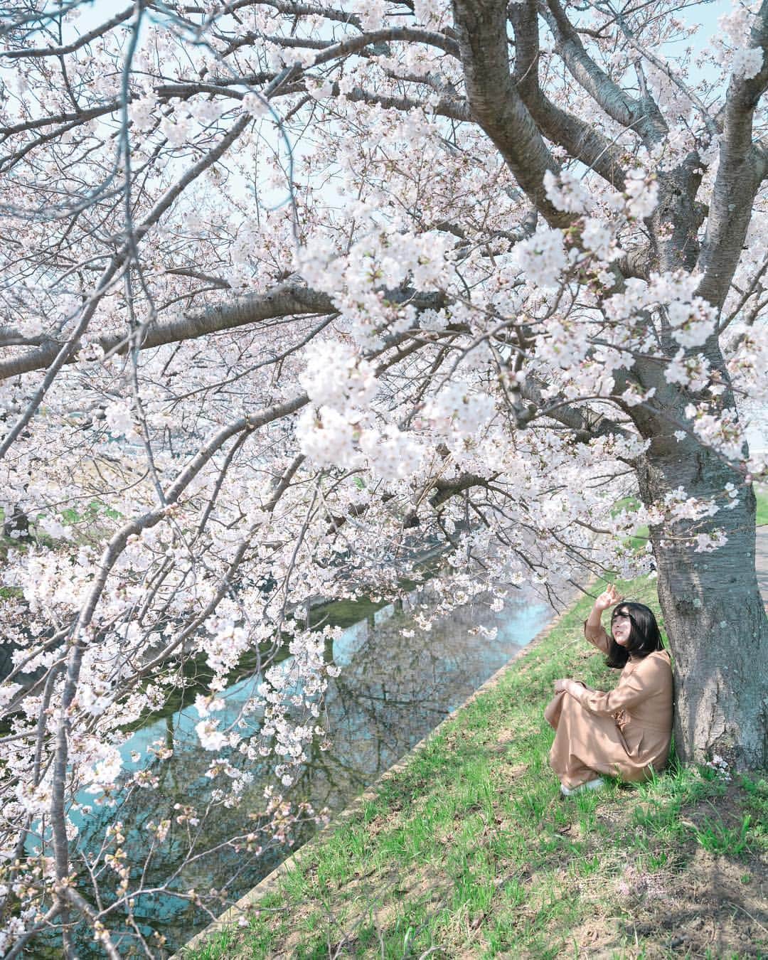 Kobe Japan Water artのインスタグラム：「"a midafternoon rest " . 春の昼下がり.」
