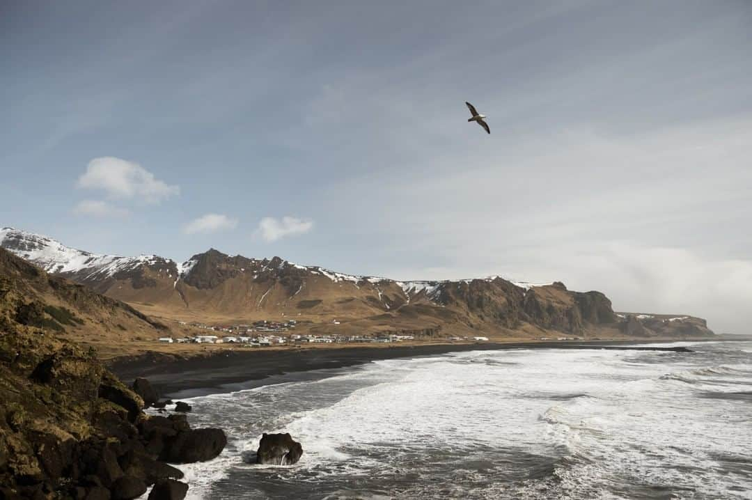 National Geographic Travelさんのインスタグラム写真 - (National Geographic TravelInstagram)「Photo by @taylorglenn | A view of the volcanic sand beach and rugged coastline near Vík í Mýrdal, Iceland. Follow @taylorglenn for more from around the globe. #iceland #Travel #landscape」4月14日 19時02分 - natgeotravel